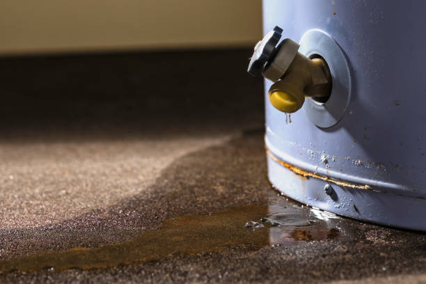 Best Ceiling water damage repair  in Freeport, FL