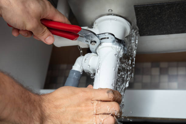 Best Mold removal after water damage  in Freeport, FL