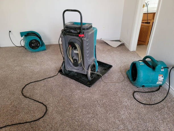 Best Professional water damage repair  in Freeport, FL