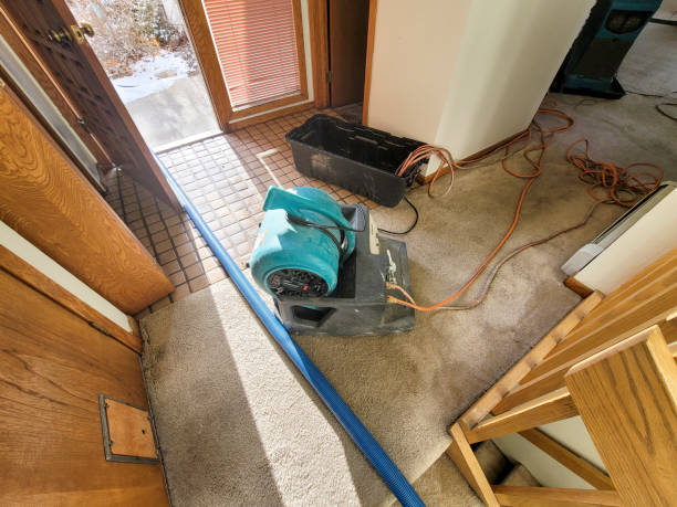 Best Water damage restoration near me  in Freeport, FL