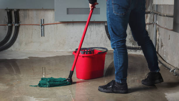 Best Carpet water damage restoration  in Freeport, FL