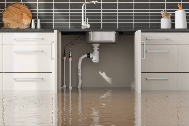 Best Water damage restoration near me  in Freeport, FL