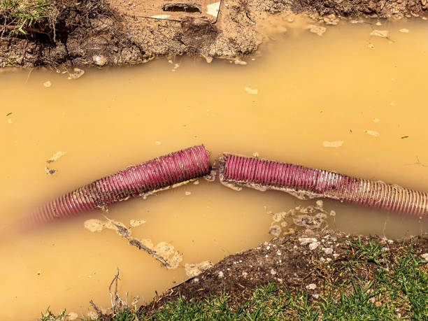 Best Residential water damage restoration  in Freeport, FL