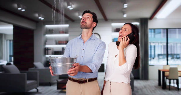 Best Water damage restoration near me  in Freeport, FL